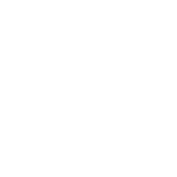 Windsurf logo